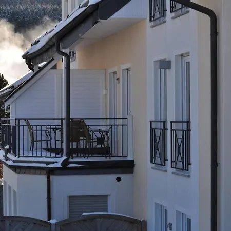 Grosszuegige Apartmán Willingen (Upland)