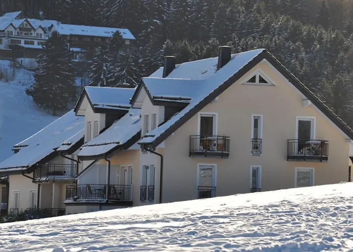 Grosszuegige Apartment Willingen (Upland)